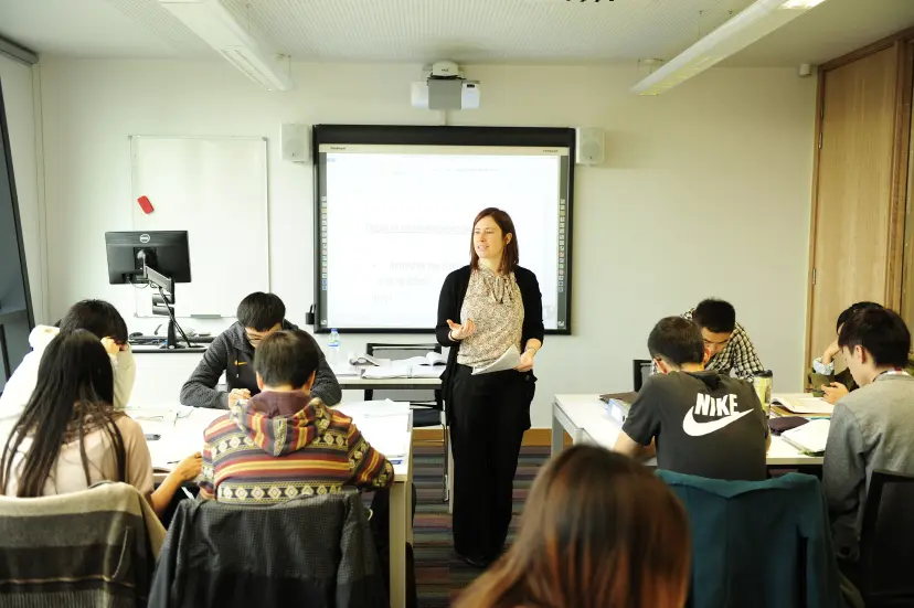 Development of practical proposals on L3 teaching strategies